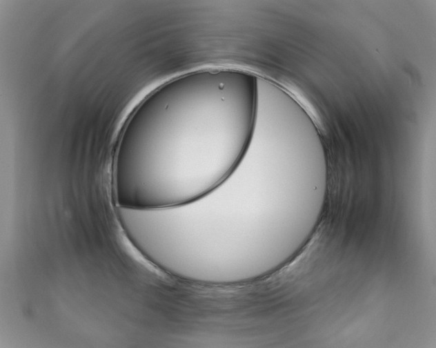 X0000111921100200907271004