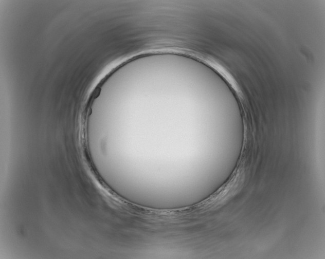 X0000111921101200907271004