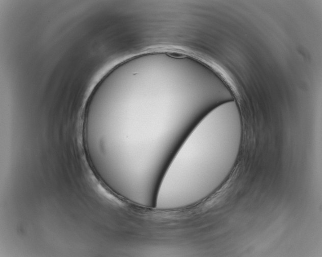 X0000111921102200907271004
