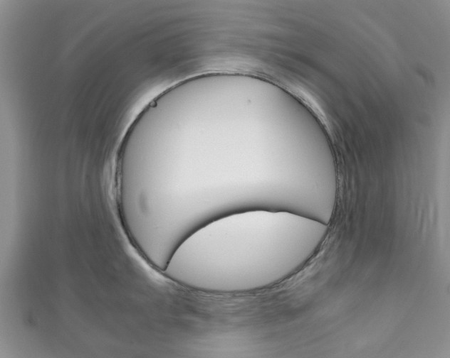 X0000111921103200907271004