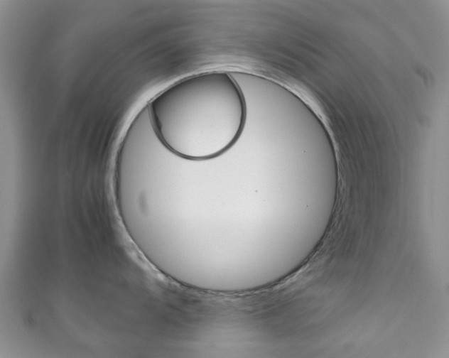 X0000111921104200907271004