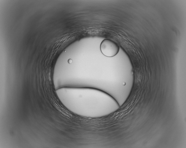 X0000111921106200907271003