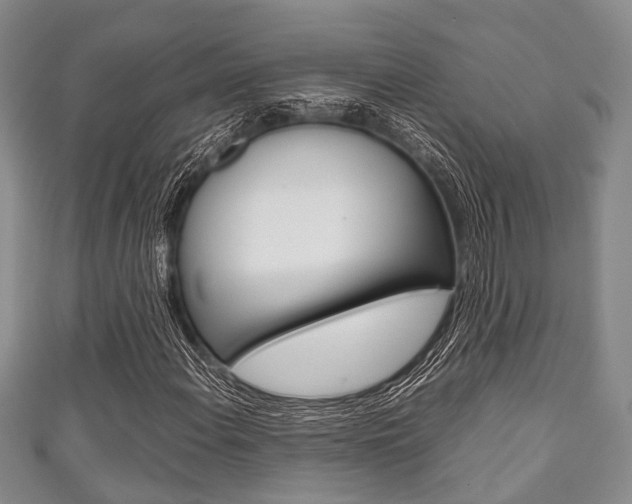 X0000111921108200907271003