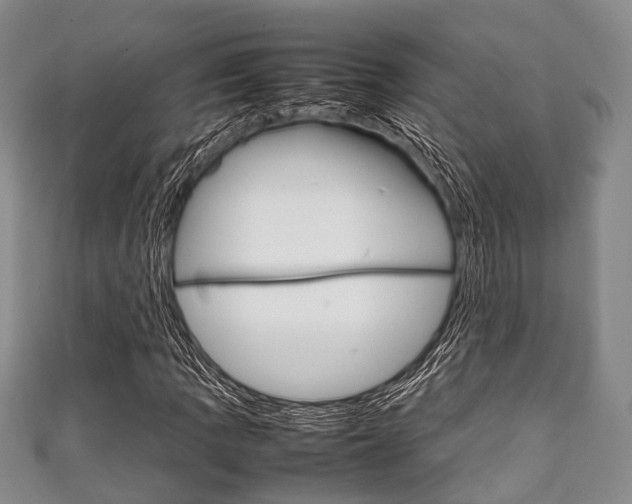 X0000111921109200907271003