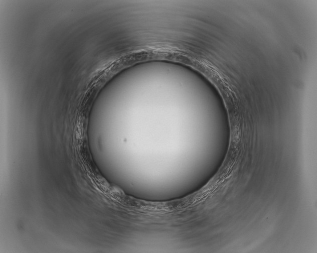 X0000111921110200907271003