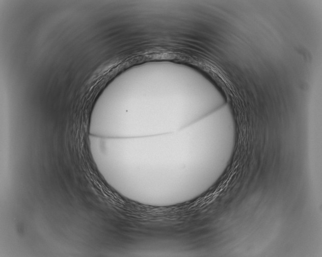 X0000111921111200907271003