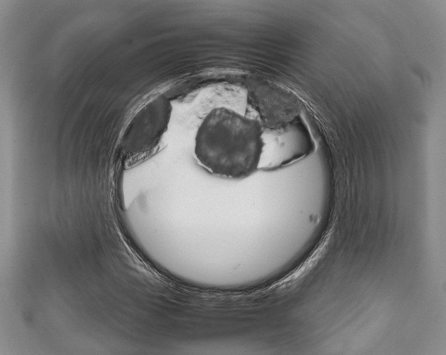 X0000111921113200907271004