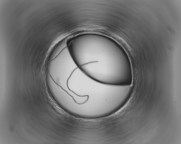 X0000111921114200907271004