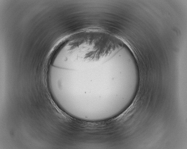 X0000111921115200907271004