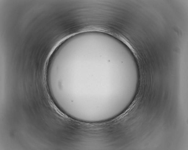 X0000111921116200907271004