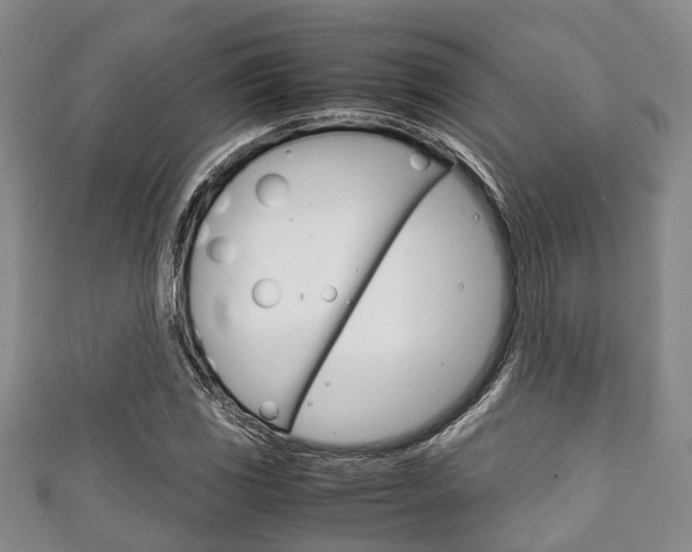 X0000111921117200907271004