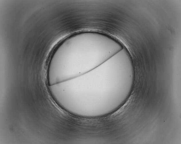 X0000111921119200907271004