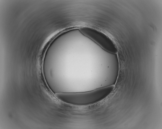 X0000111921120200907271004