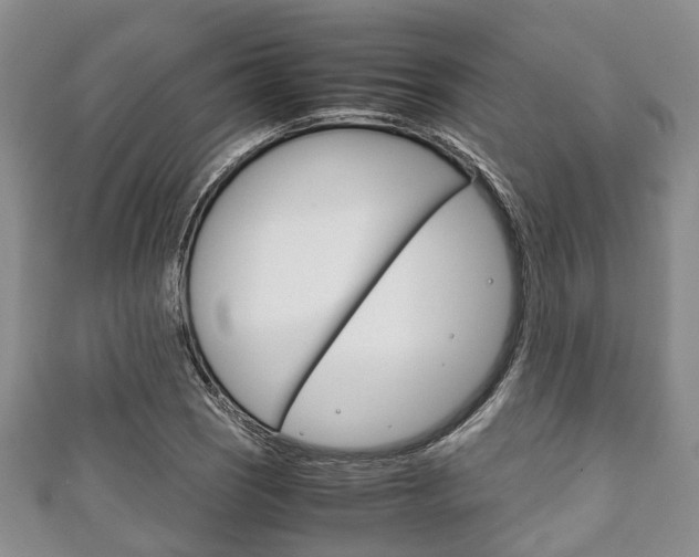 X0000111921121200907271004