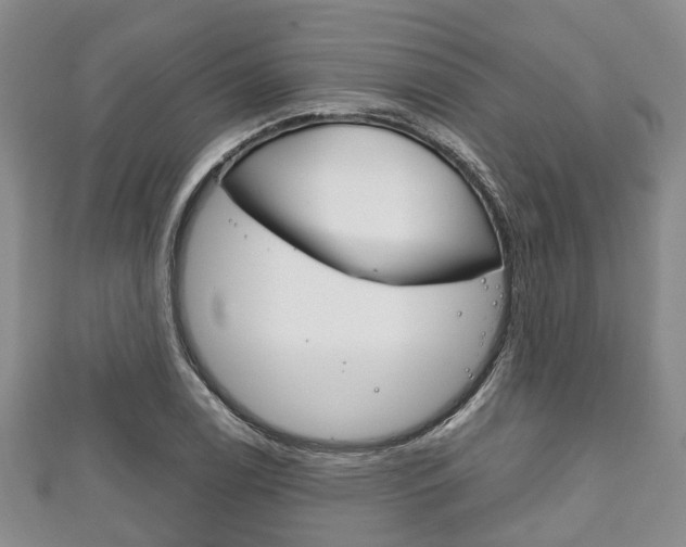 X0000111921122200907271004