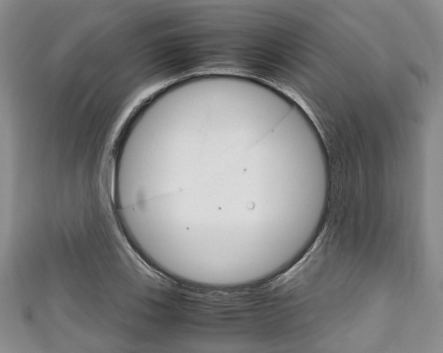 X0000111921123200907271004
