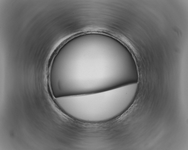 X0000111921124200907271004