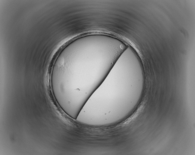 X0000111921125200907271004