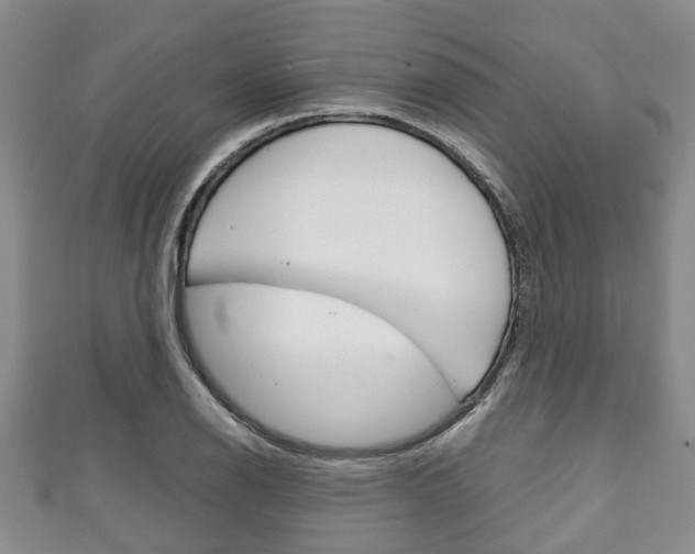 X0000111921126200907271004