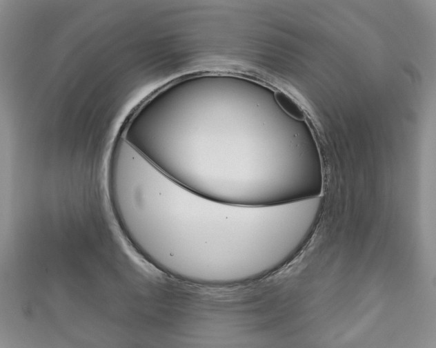 X0000111921128200907271004