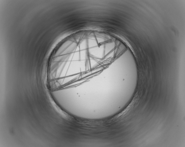 X0000111921131200907271004