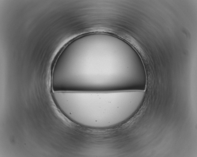 X0000111921132200907271004