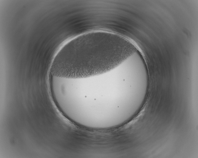 X0000111921133200907271004