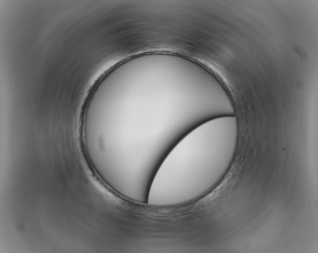 X0000111921135200907271004