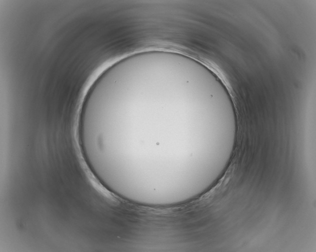 X0000111921136200907271004