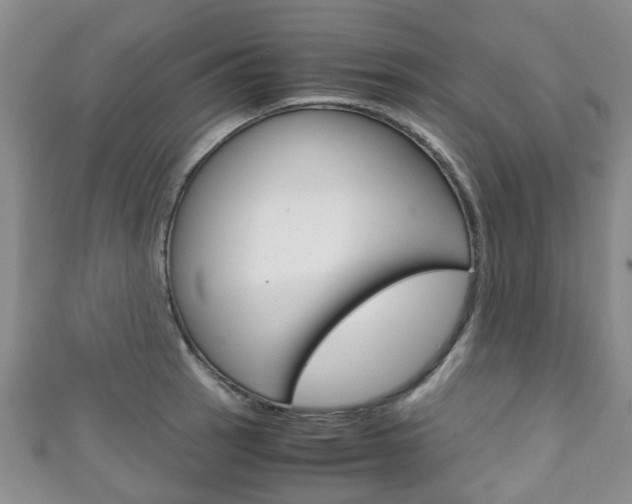 X0000111921137200907271004