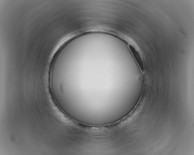X0000111921138200907271004