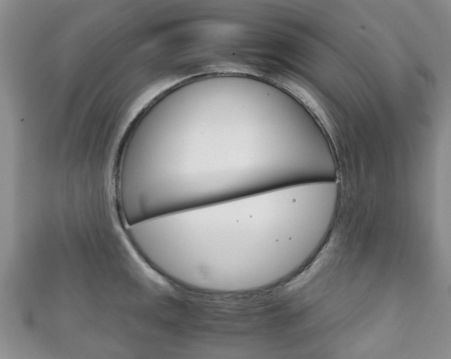 X0000111921141200907271004