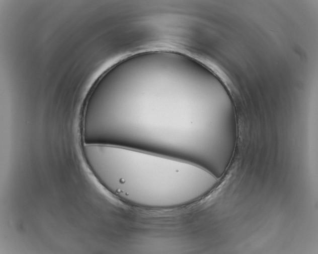 X0000111921142200907271004
