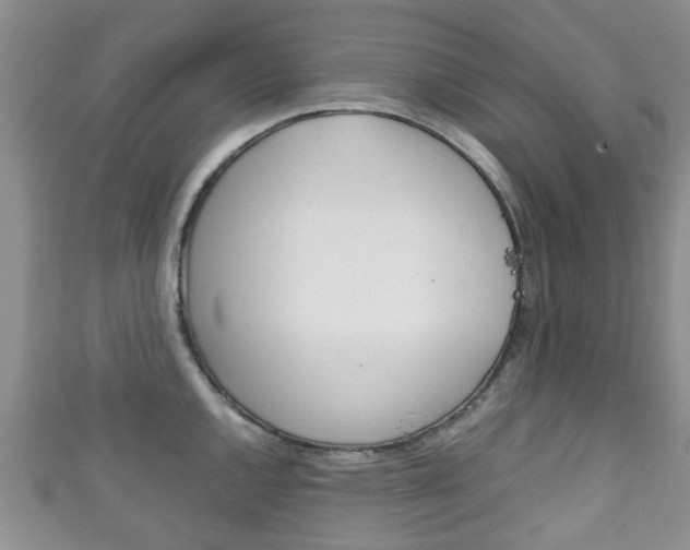 X0000111921144200907271004