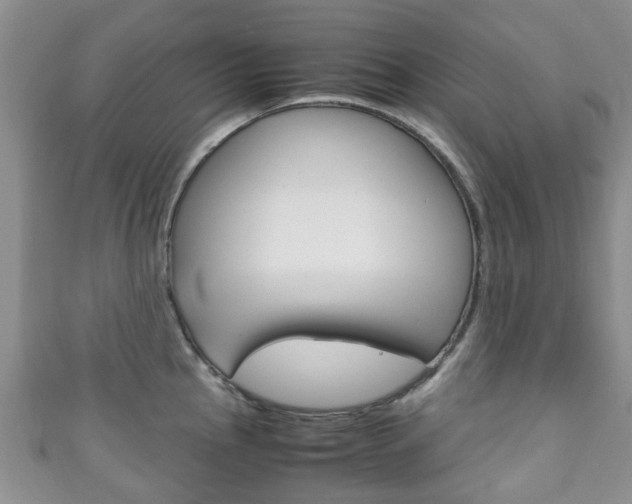 X0000111921145200907271004