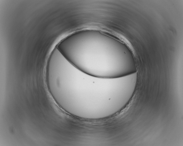 X0000111921146200907271004