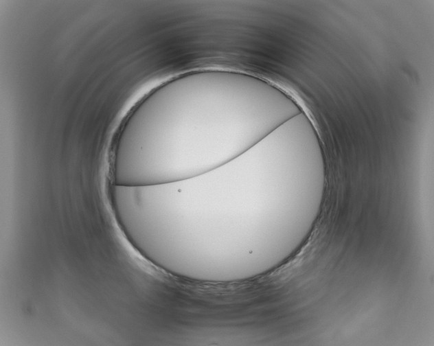 X0000111921147200907271004
