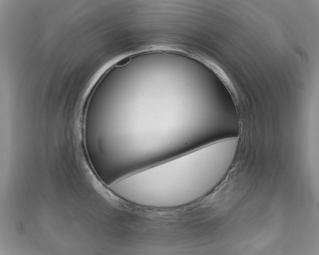 X0000111921148200907271004