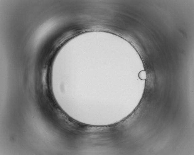 X0000111921150200907271004