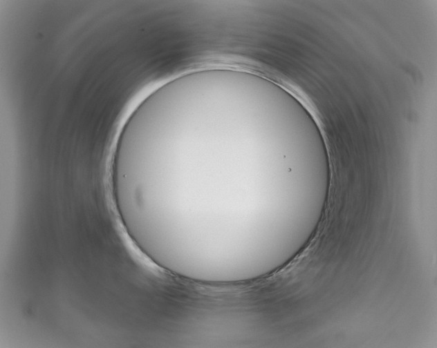 X0000111921152200907271004