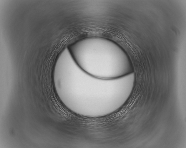 X0000111921153200907271003