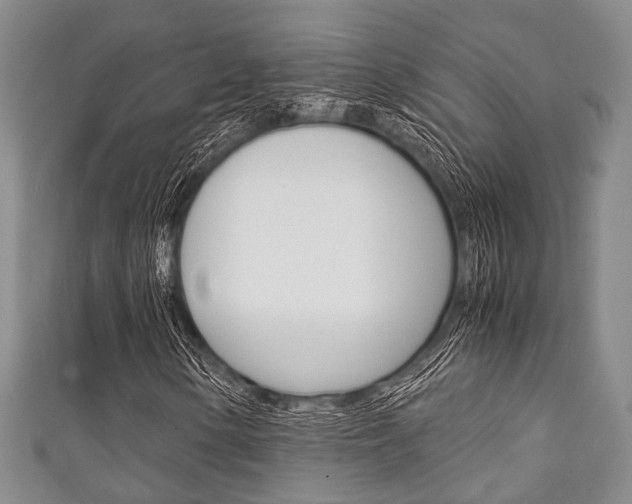 X0000111921154200907271003