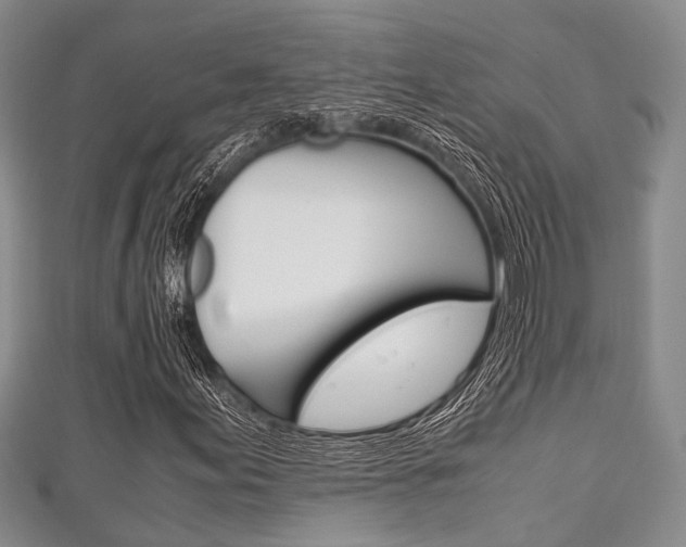 X0000111921155200907271003