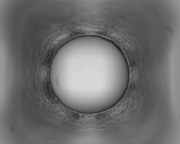 X0000111921157200907271003