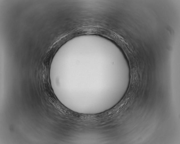 X0000111921158200907271003