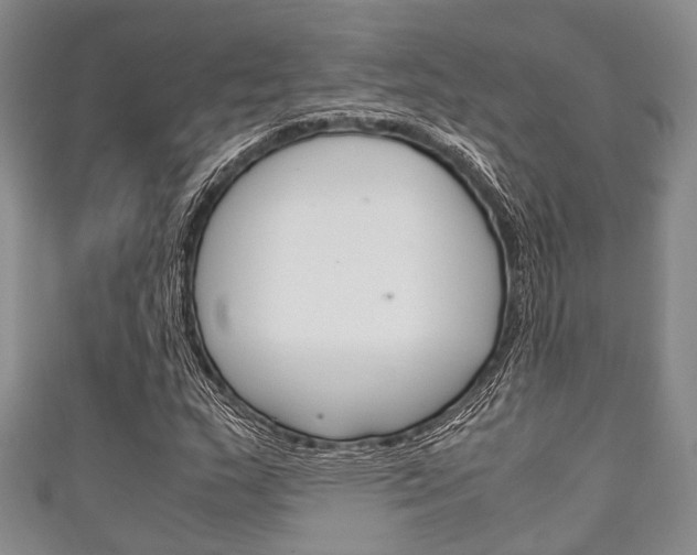 X0000111921159200907271003