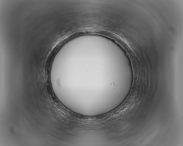X0000111921160200907271003