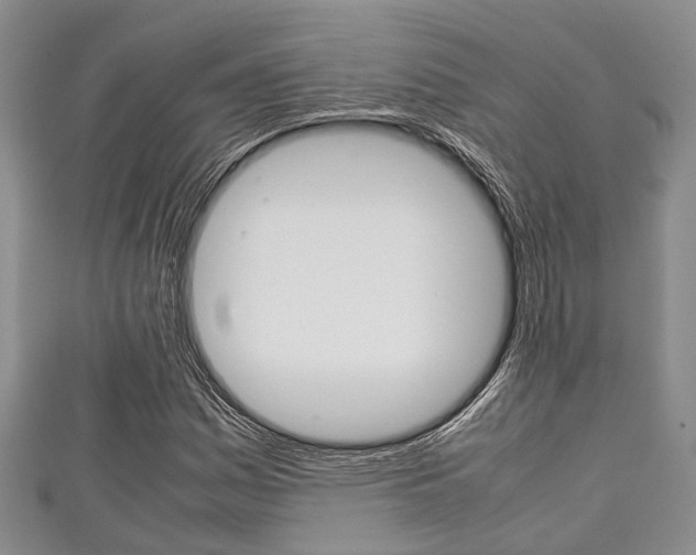 X0000111921161200907271003