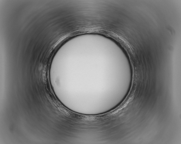 X0000111921162200907271003
