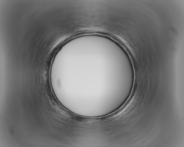 X0000111921163200907271003